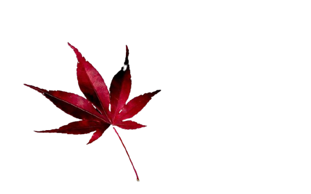 Legacy Roleplay Screenshot